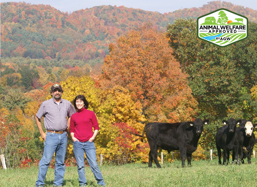 Mack Brook Farm farm profile