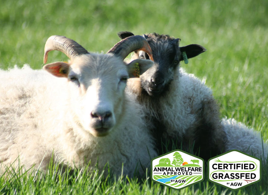 Organic Grass Fed Meat in Quebec