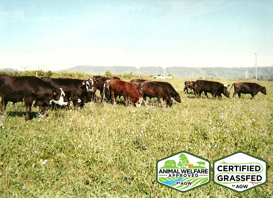 Liberty Flat Farm in Greeneville, TN farm profile