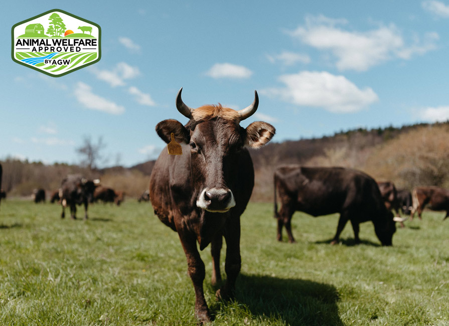 Hawthorne Valley Farm - Ghent, NY 