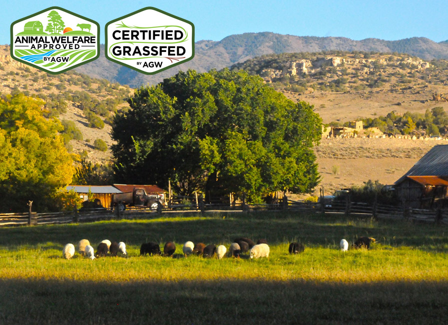 Canyon of the Ancients Guest Ranch farm profile