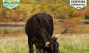 Glynwood Center Farm in New York