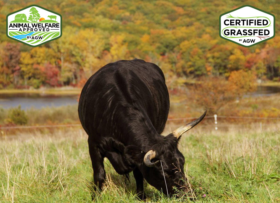 Glynwood Center Farm in New York