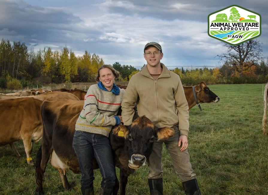 North Country Creamery in Keeseville, NY farm profile