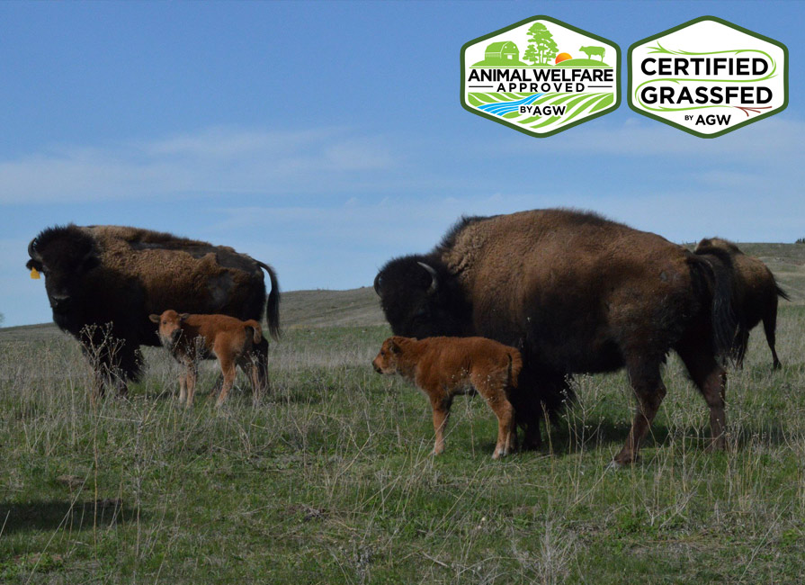 Straight Arrow Bison Ranch in Broken Bow, NE farm profile