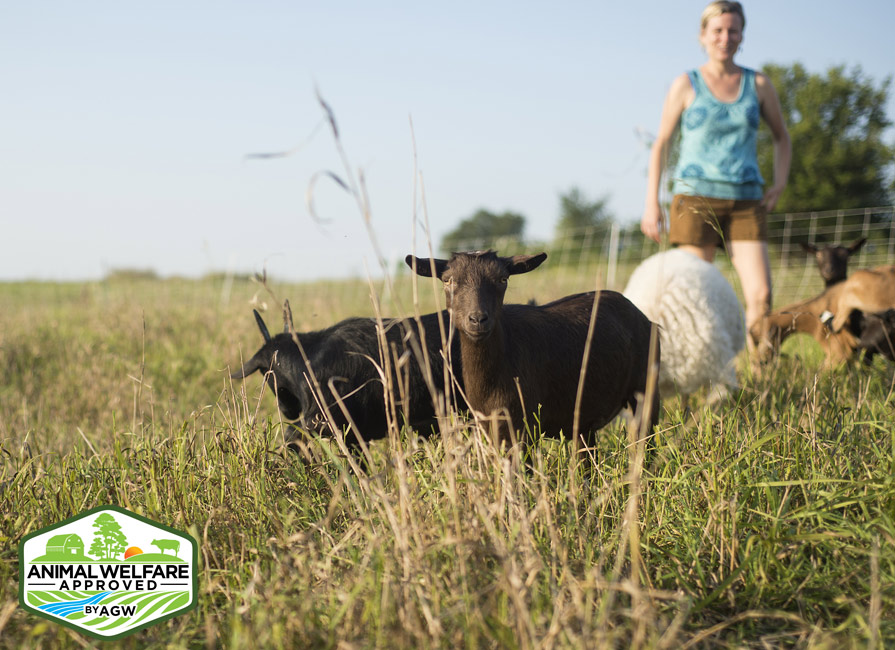 Gretta's Goats at Short Leg Farm farm profile