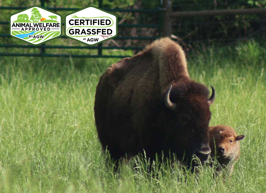 Ozark Valley Bison Farm in Fox, AR farm profile