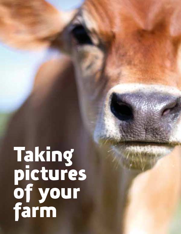 Taking Pictures of Your Farm publication