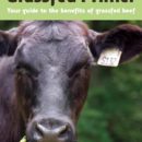 The Grassfed Primer publication