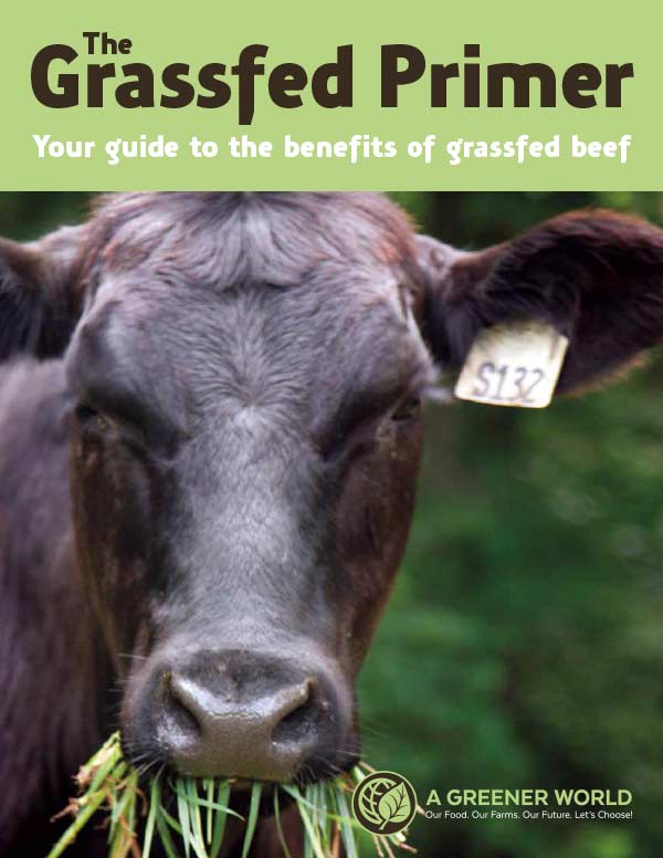 Grass-Fed Beef for a Post-Pandemic World