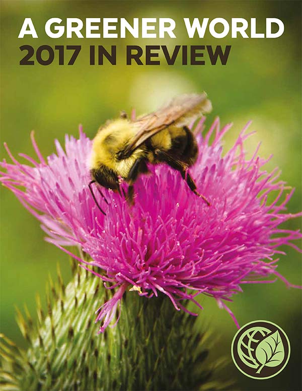 A Greener World's publication 2017 In Review booklet