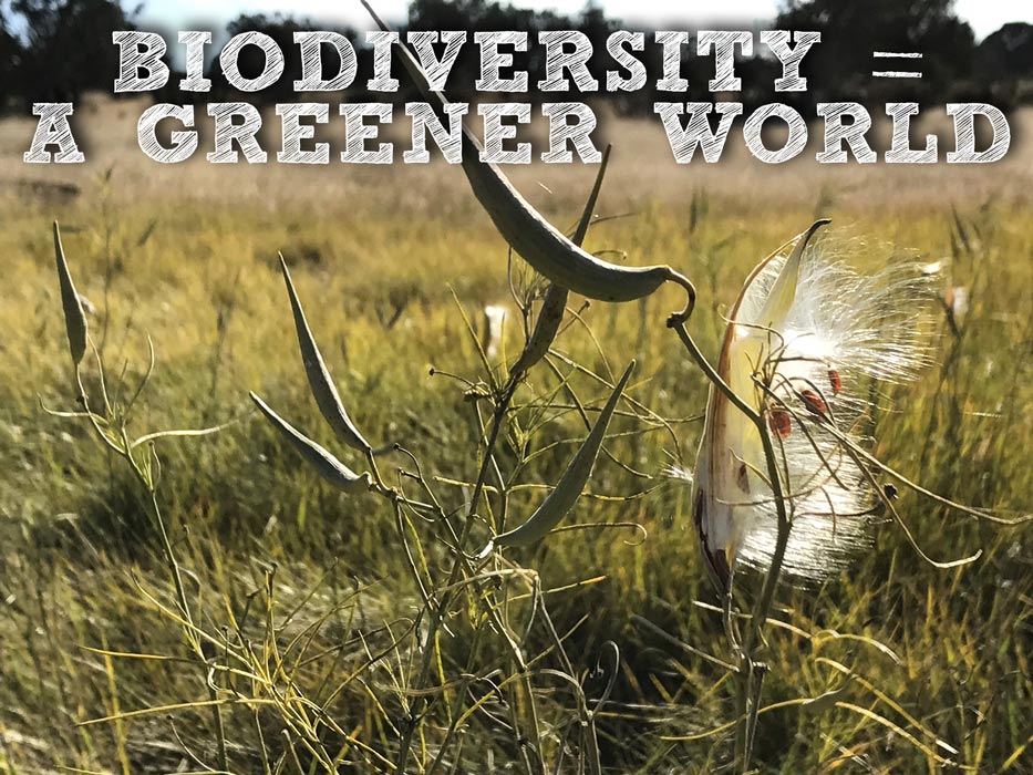 Stewards of the Earth: Survey shows AGW-certified farms protect endangered species and support biodiversity. blog
