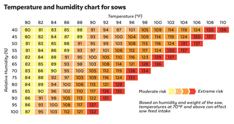 Avoiding Heat Stress in Pigs