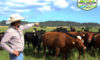 Kunoa Cattle Company In Kalopei, HI Farm Profile