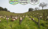 Tablas Creek Vineyard Farm Profile