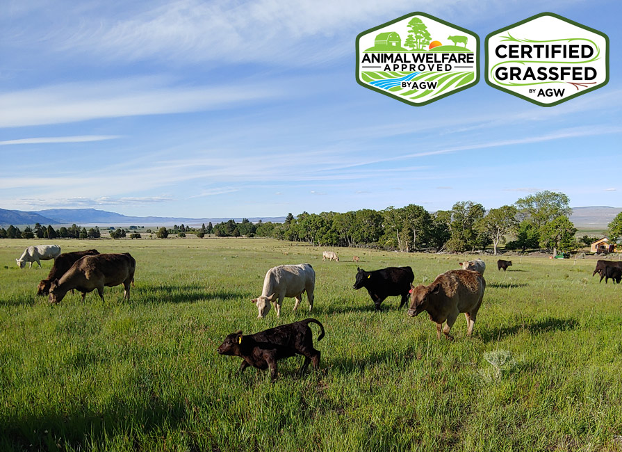 Holding Ranch in Lake City, CA. farm profile