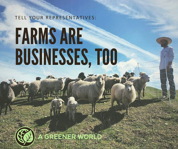 Sustainable farming groups submit joint letter to Congress supporting Small Business Relief for farmers.
