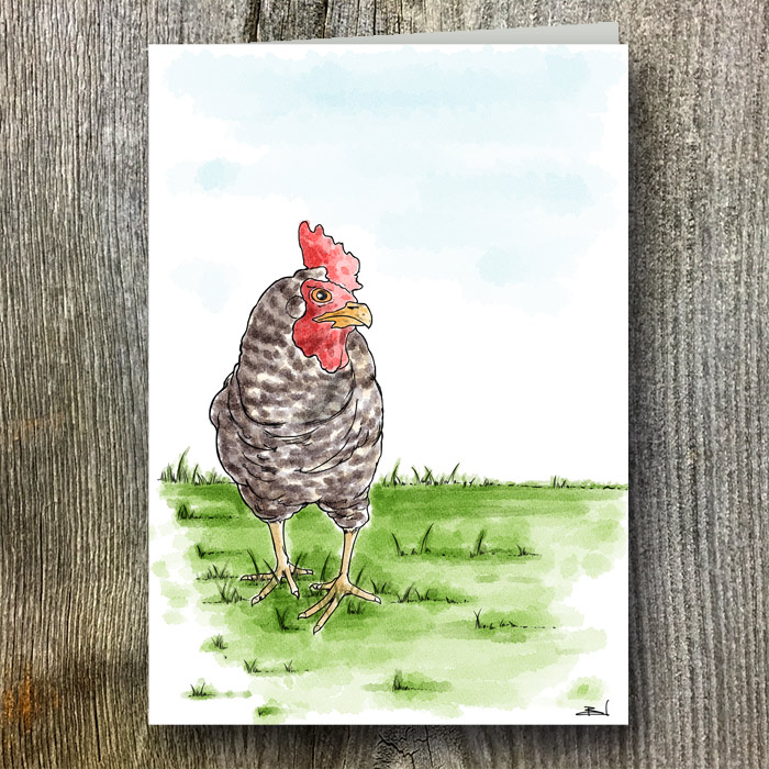Chicken AGW Branded Greeting Card (sold In Packs Of Five)