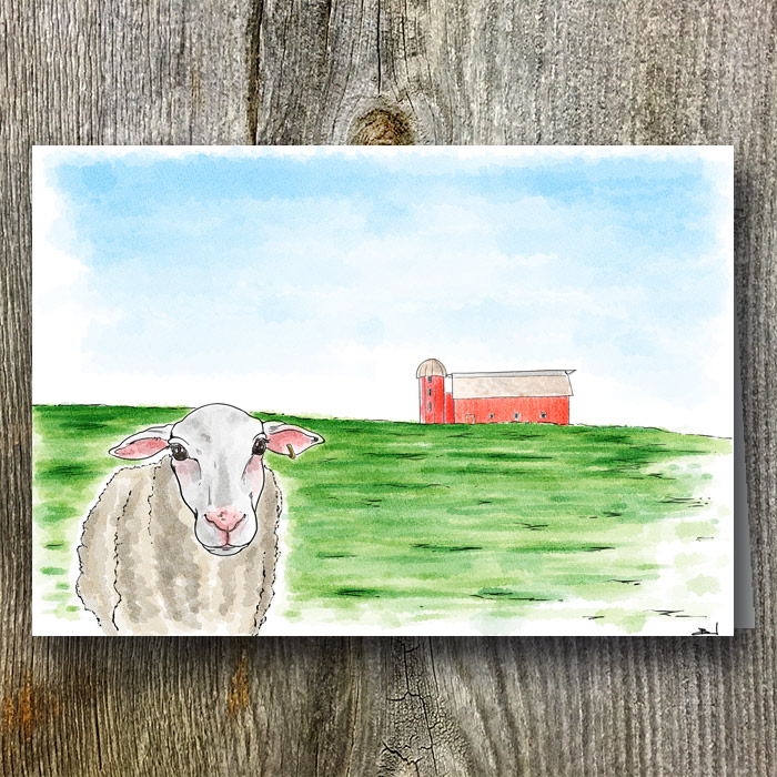 Sheep AGW Branded Greeting Card (sold In Packs Of Five)