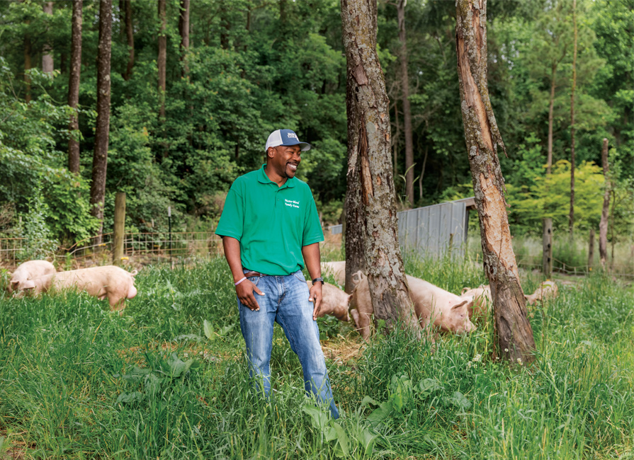 Muddy Branch Farm