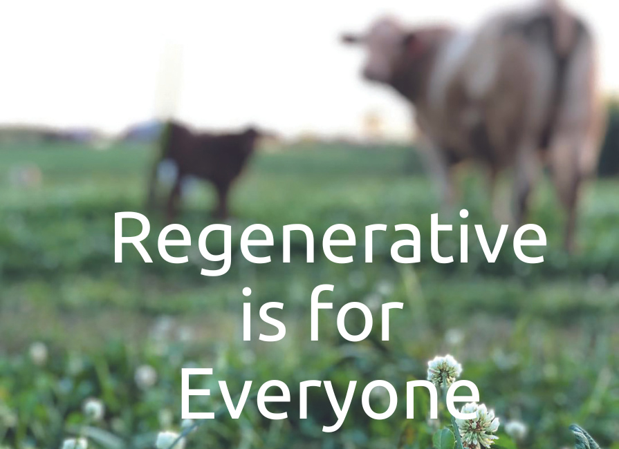 Regenerative is for Everyone blog