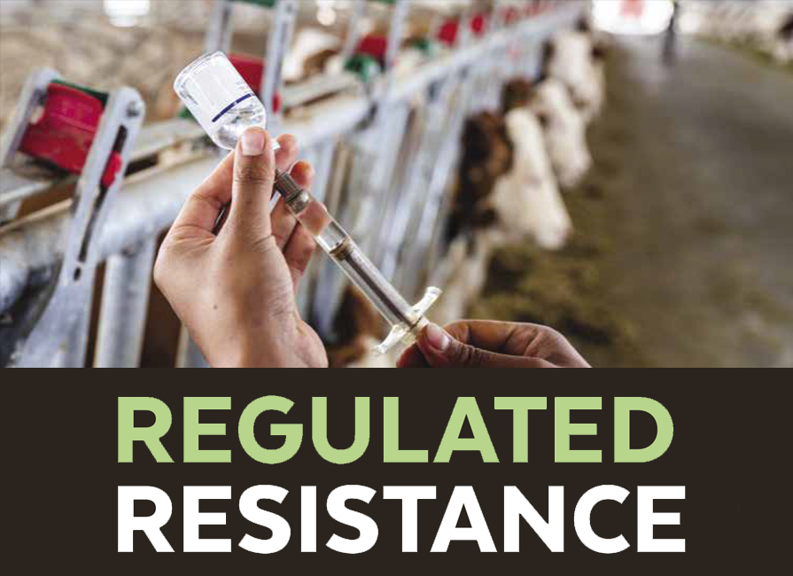 Regulated Resistance blog