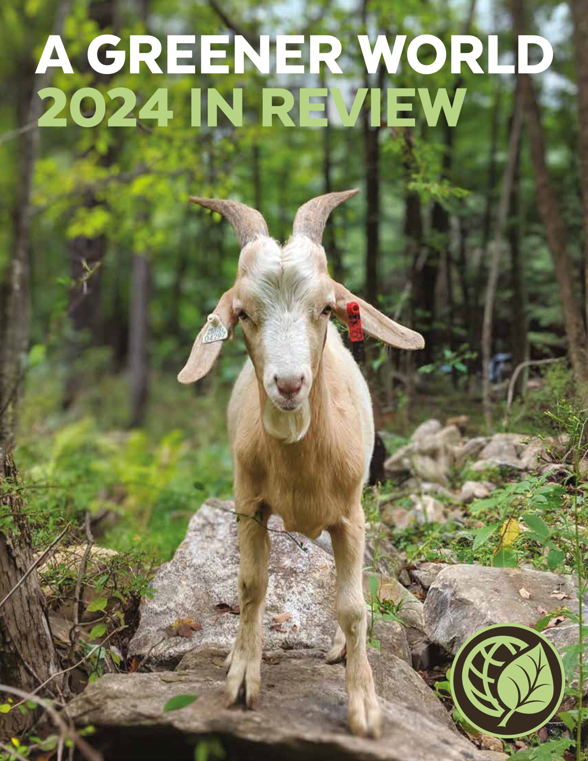 2024 Impact Report