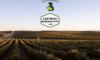 California Olive Ranch farmer profile