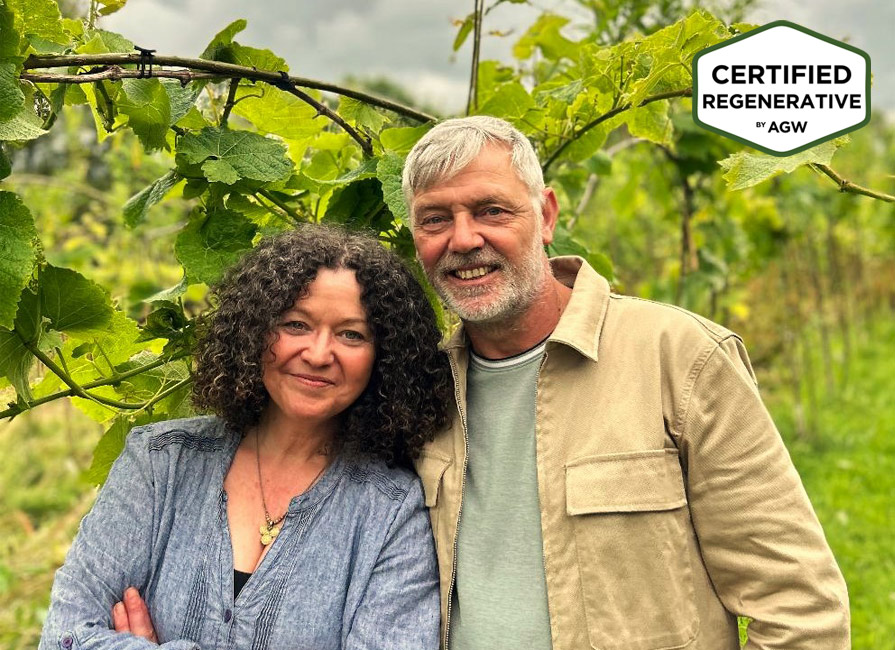 Hebron Vineyard viticulture