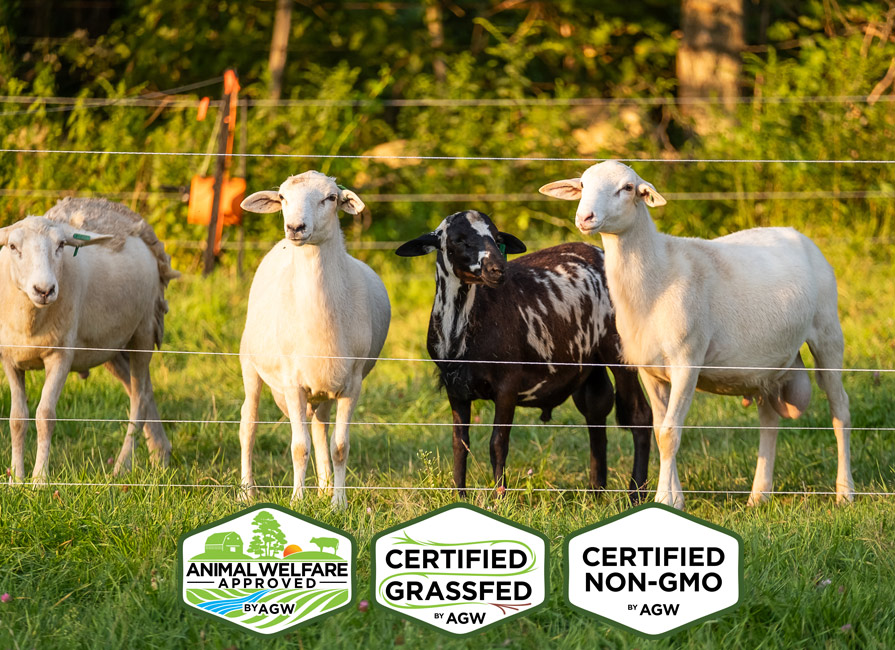 The Stead Farm farmer profile